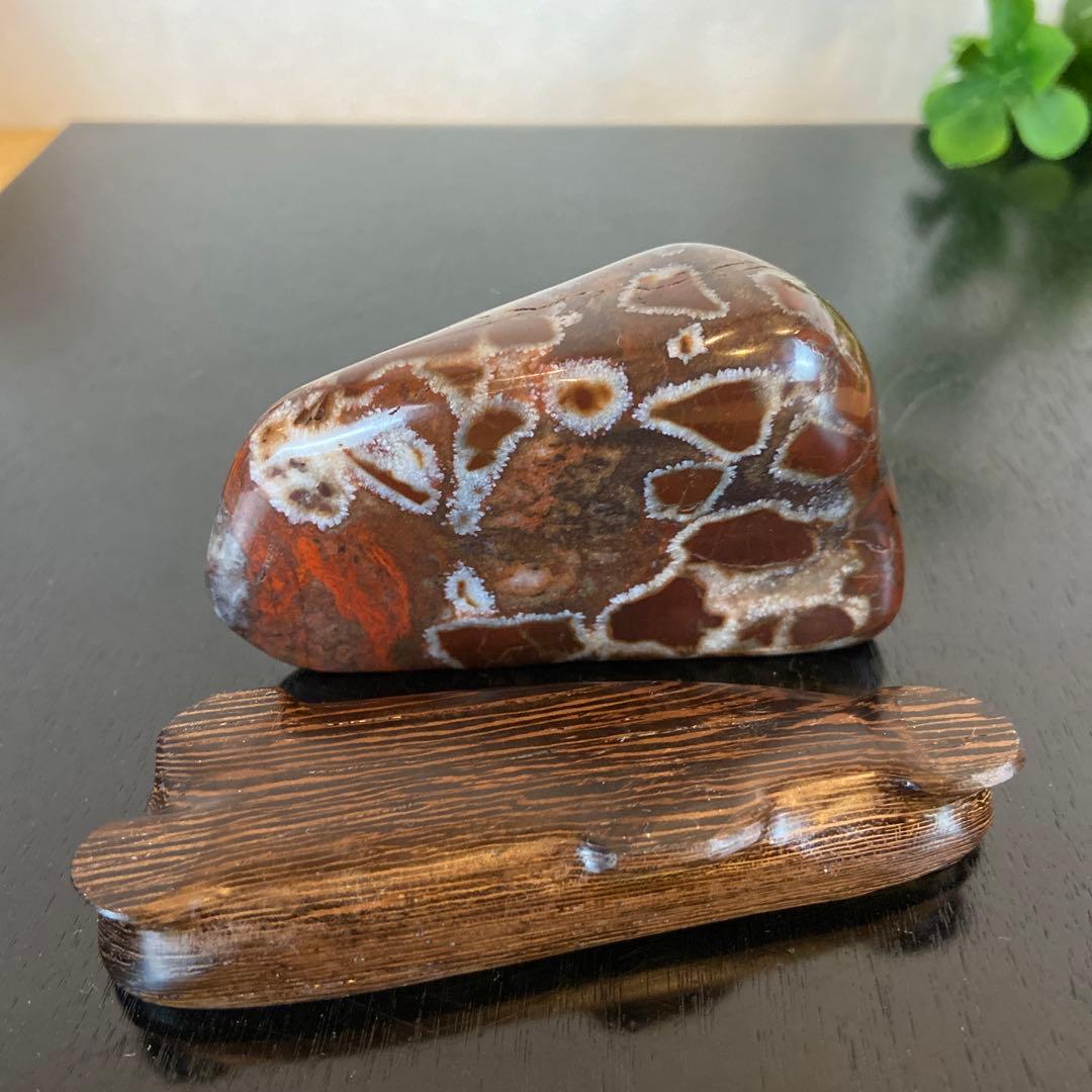 菊花石　★鑑賞石　美石　水石　盆栽