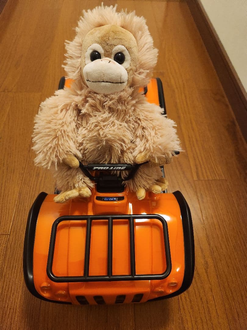 サベージボディ　Pro-line Outback Utility Quad