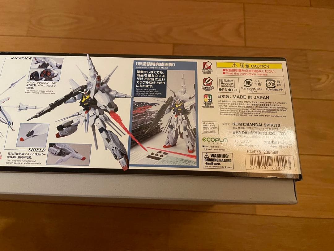 は*せ様 バンダイ MG 1/100 プロヴィデンスガンダム