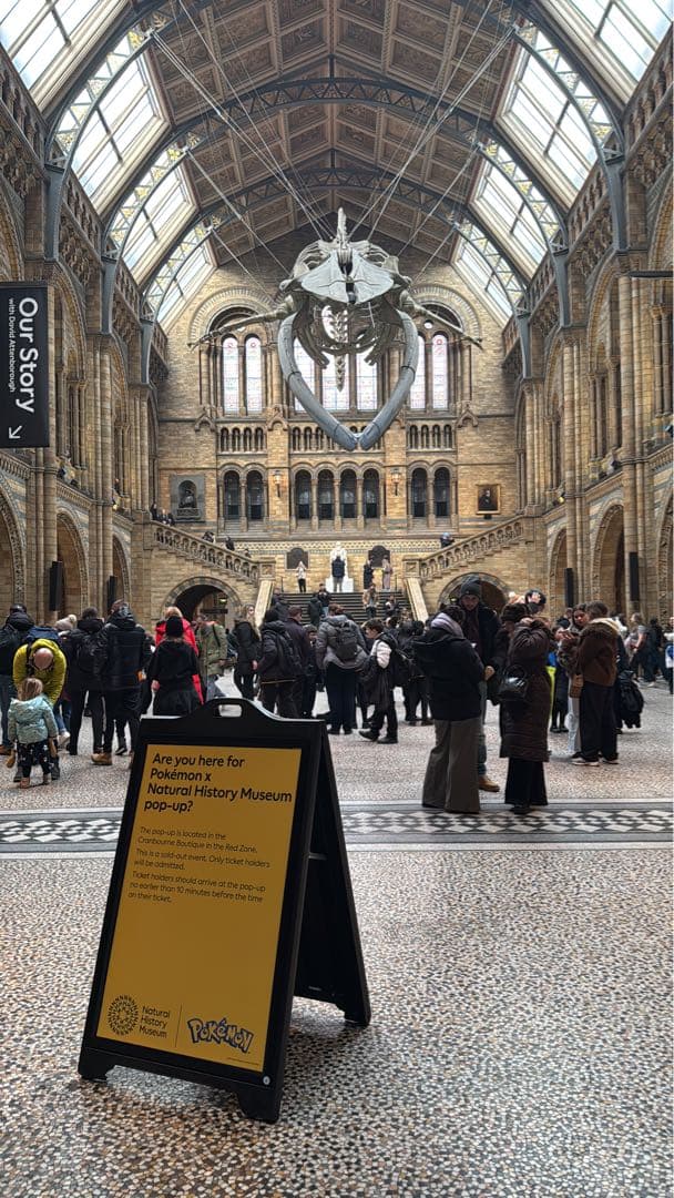 2枚セット Pikachu at the Museum ピカチュウ 自然史博物館