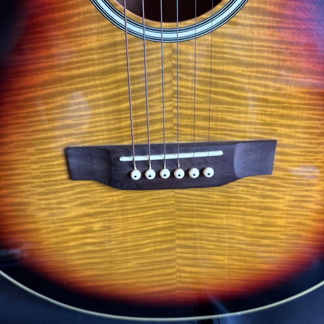 エレクトリック・アコースティックギター　Pro Martin EA500W VS