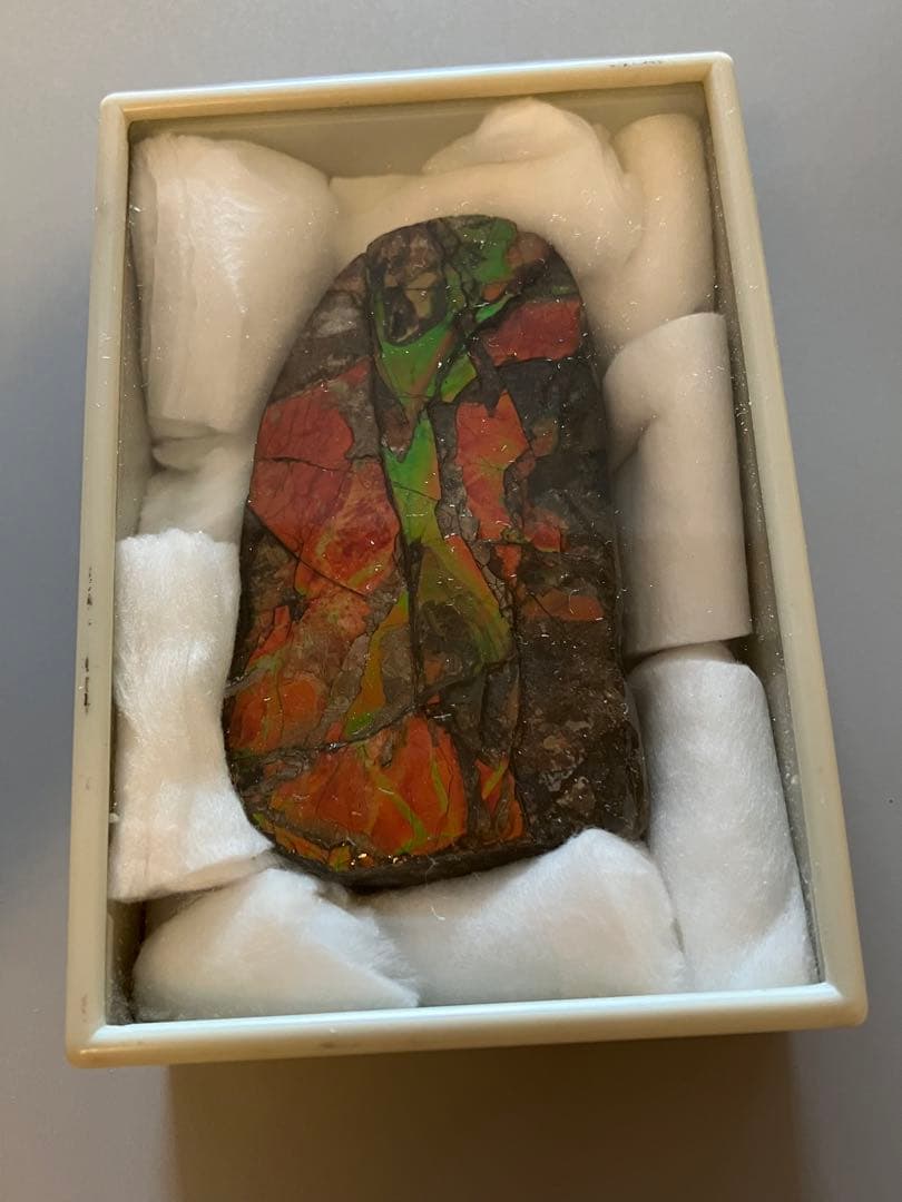 カナダ産　アンモライト　化石　原石　幅8.5cm 箱付き