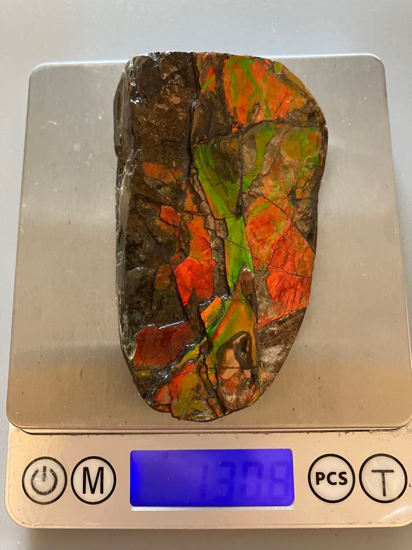 カナダ産　アンモライト　化石　原石　幅8.5cm 箱付き