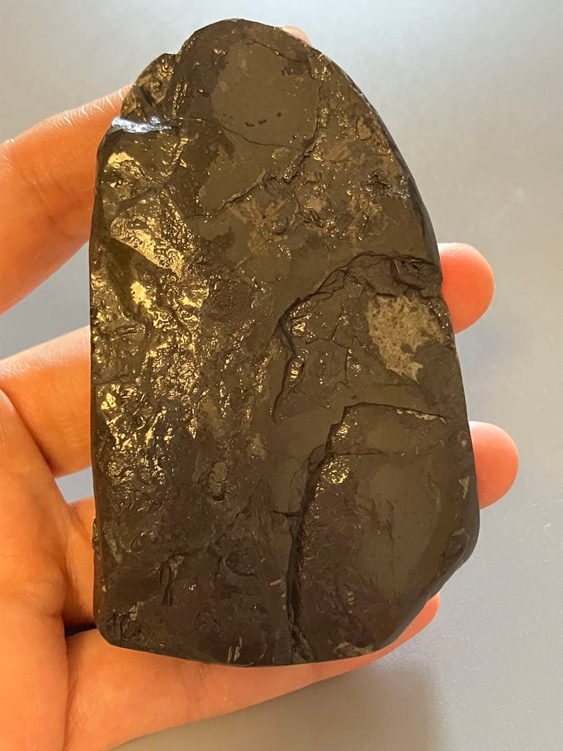 カナダ産　アンモライト　化石　原石　幅8.5cm 箱付き