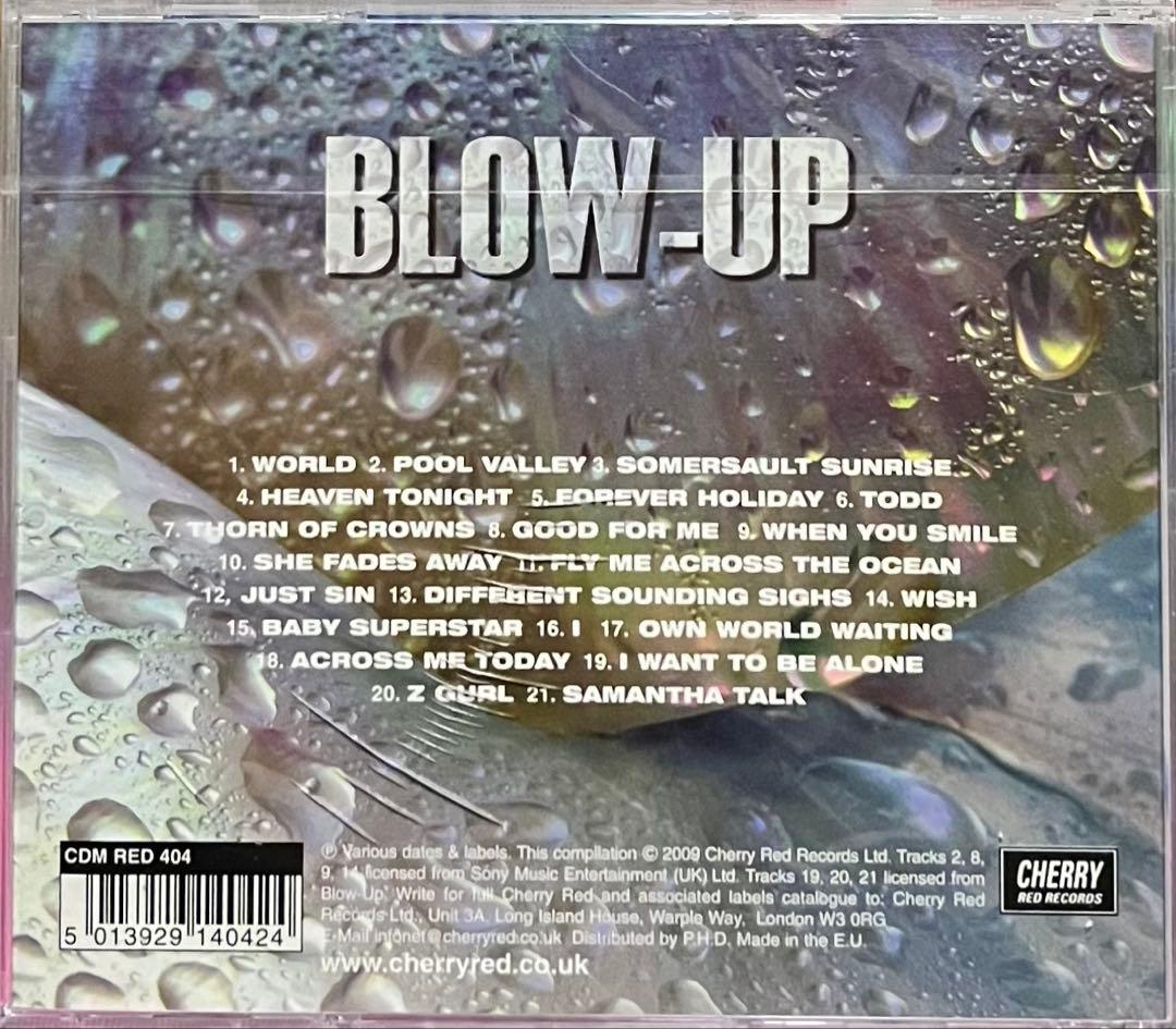 Blow-Up The Kerbstones Turn To Moss 廃盤cd