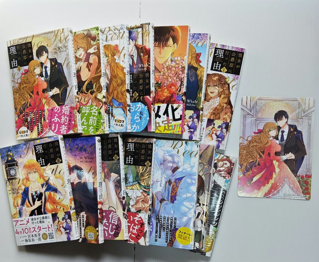 彼女が公爵邸に行った理由 1巻〜14巻 全巻セット 【匿名配送】