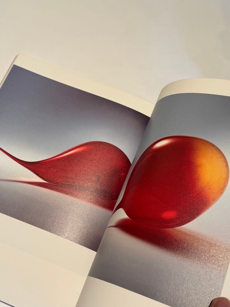 [希少] 中川幸夫　ガラス・書　いのちのかたち　Nakagawa Yukio