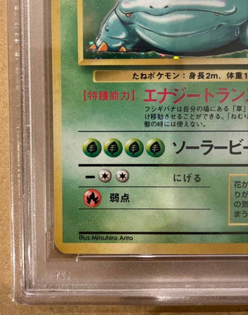 PSA5 旧裏 フシギバナ 初版マークなし