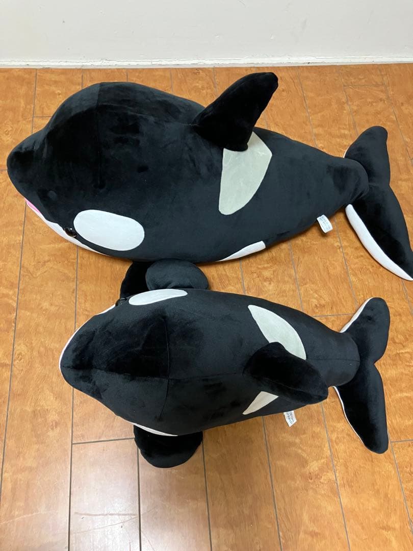 須磨シーオルカくじ1等&2等！