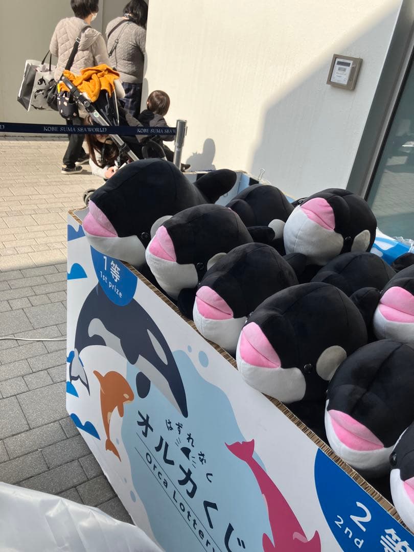 須磨シーオルカくじ1等&2等！