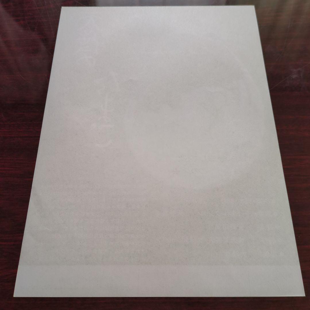 押井守監督作品・天野喜孝・天使のたまご「チラシ」