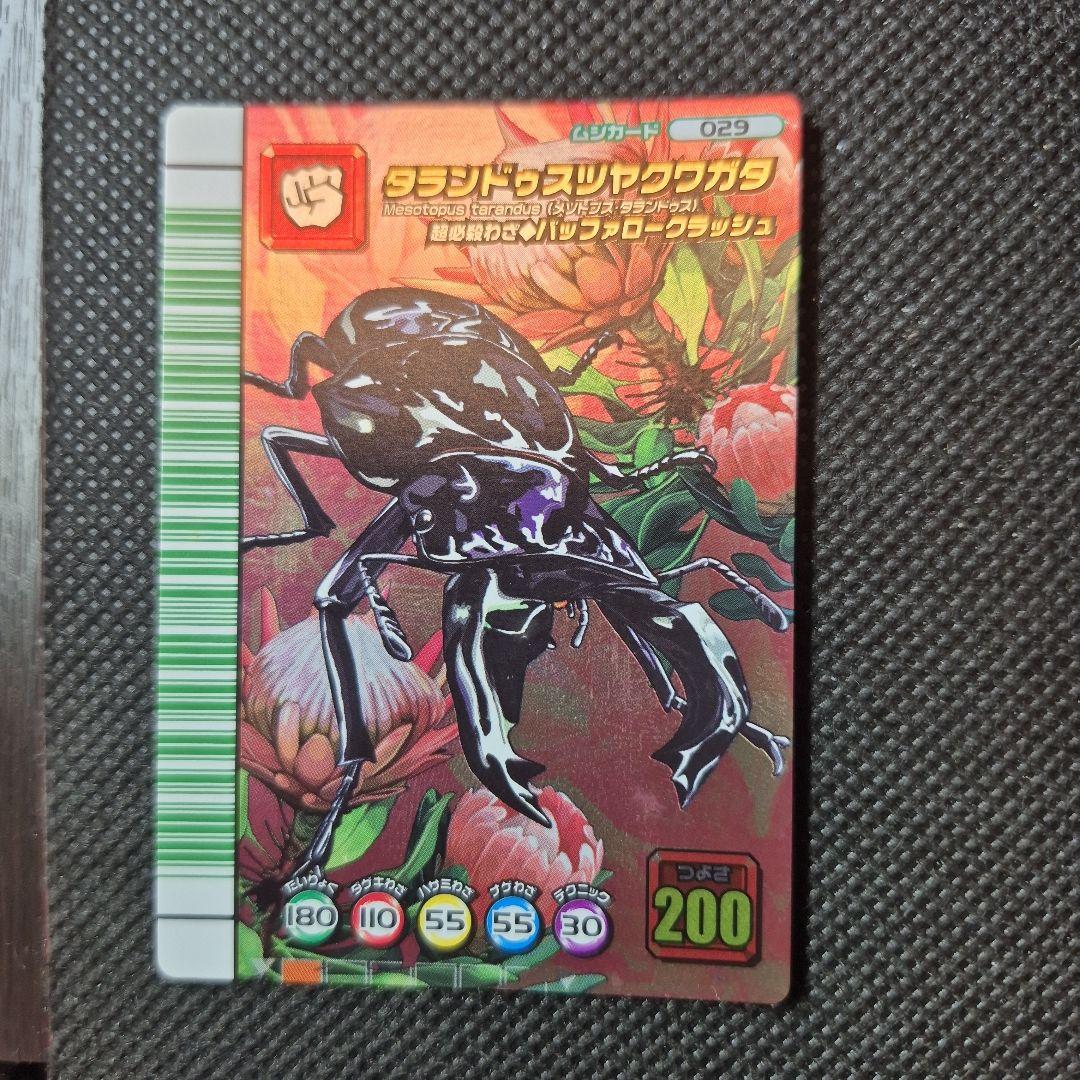 ムシキング　タランドゥス　5周年