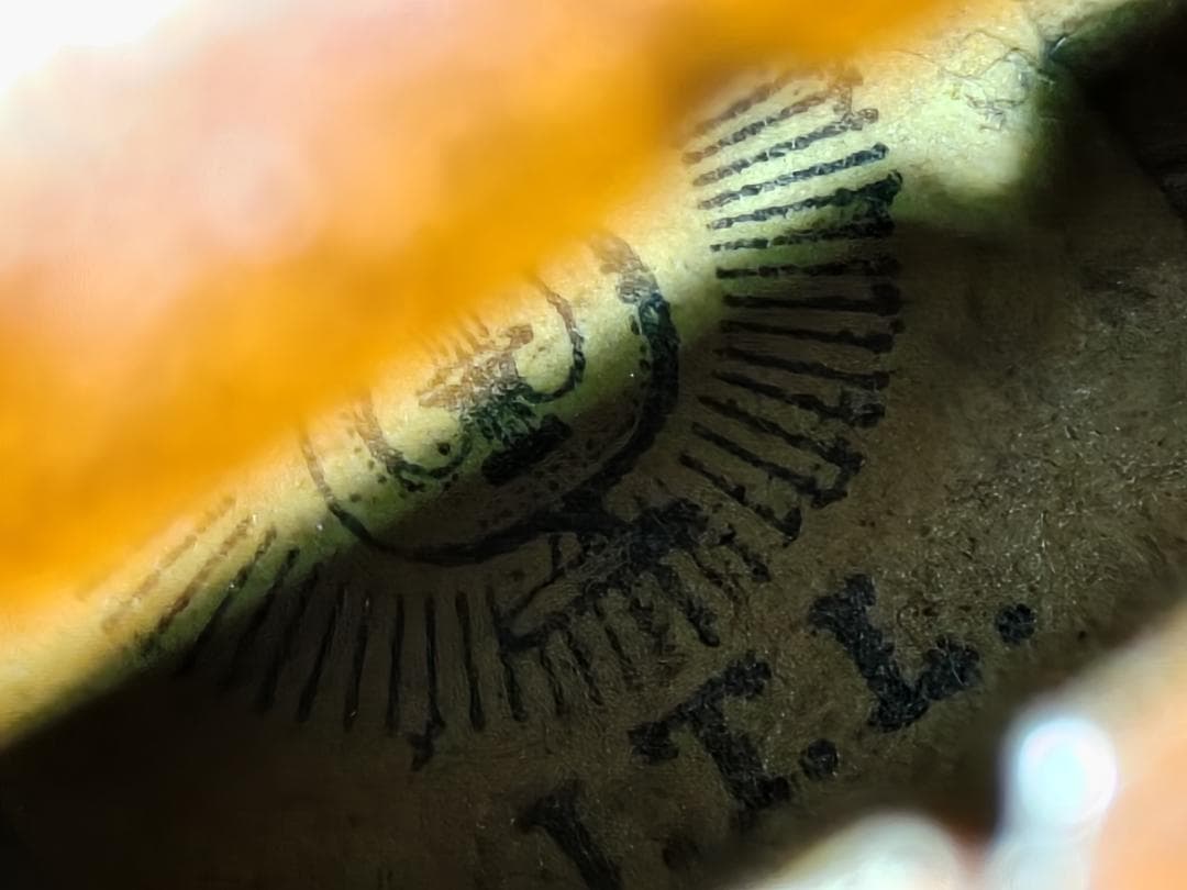 J.T.L フランス ミルクール 3/4 + ALFRED KNOLL 弓