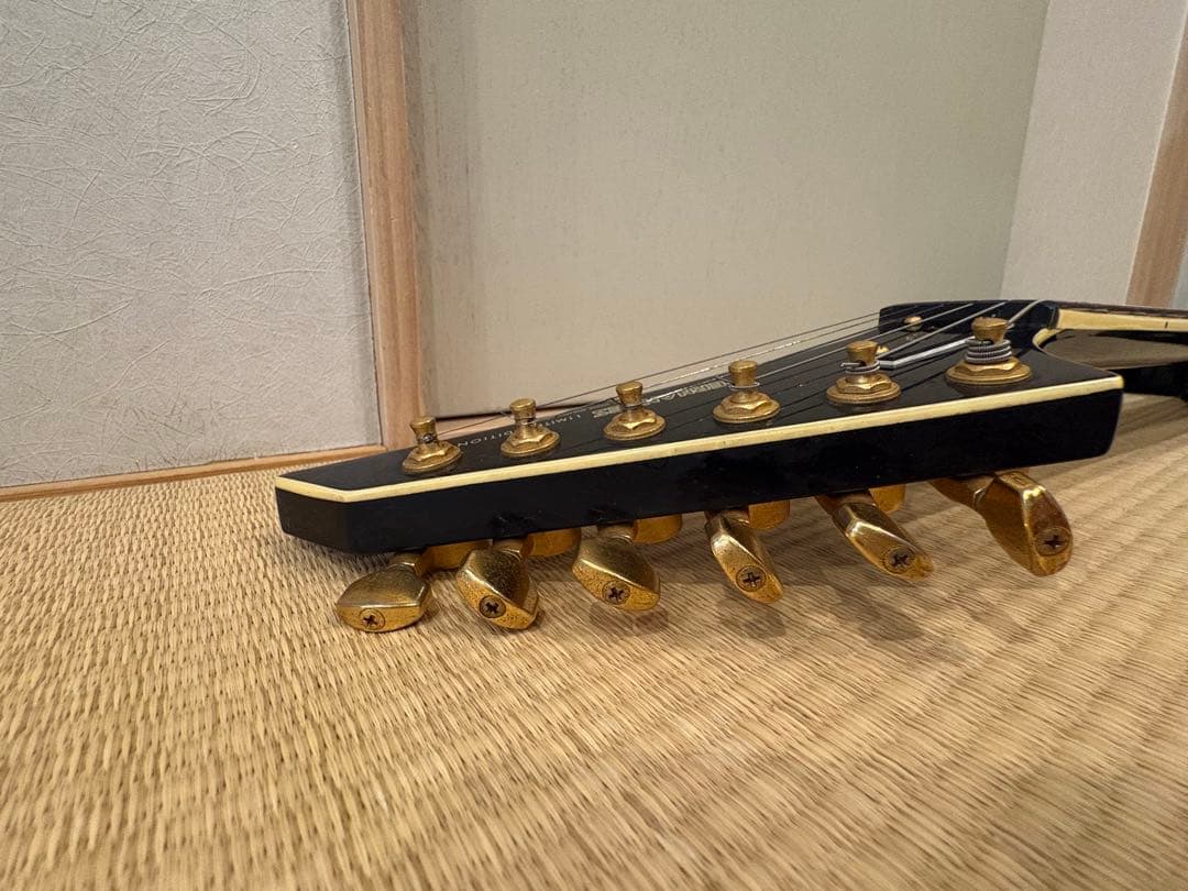 最終値下げです　FERNANDES TEJ-55G リミテッドエディション