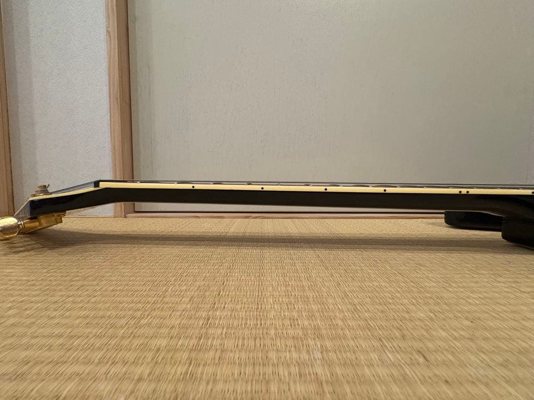 最終値下げです　FERNANDES TEJ-55G リミテッドエディション