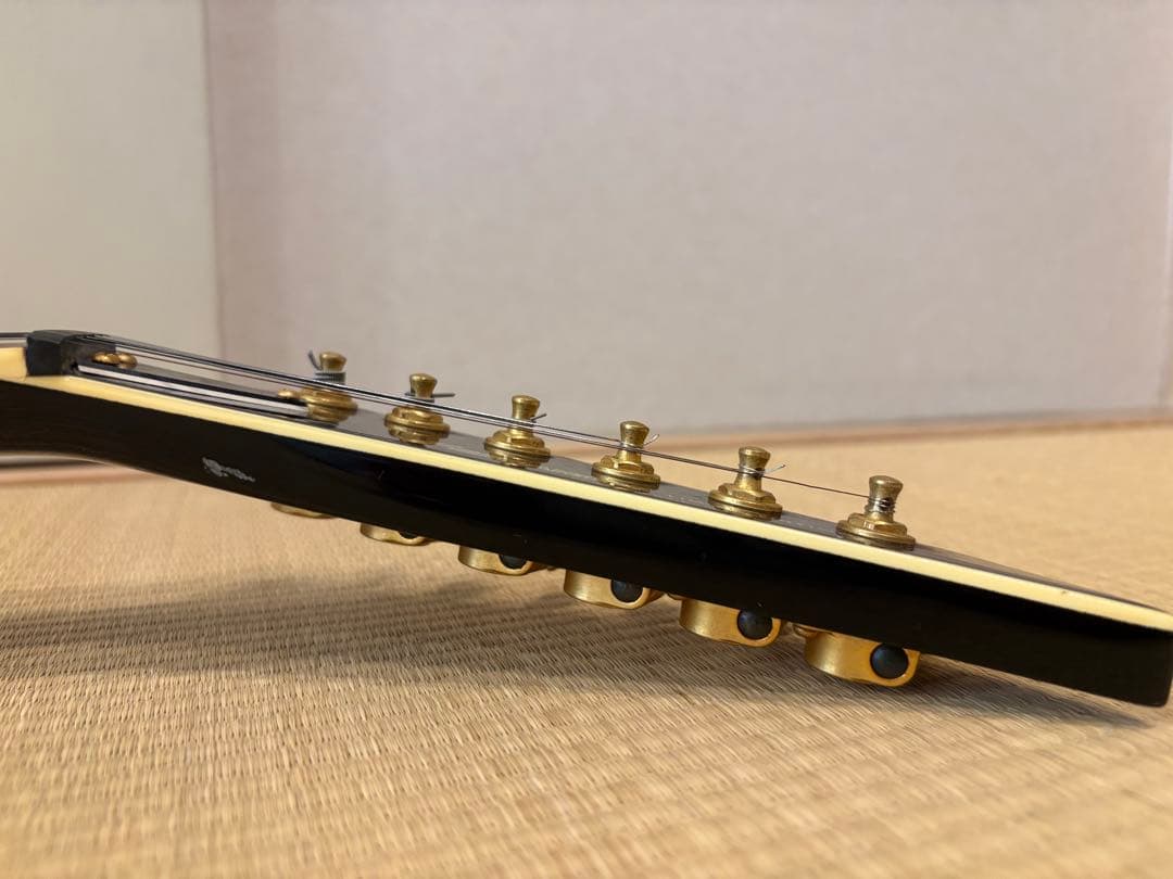 最終値下げです　FERNANDES TEJ-55G リミテッドエディション