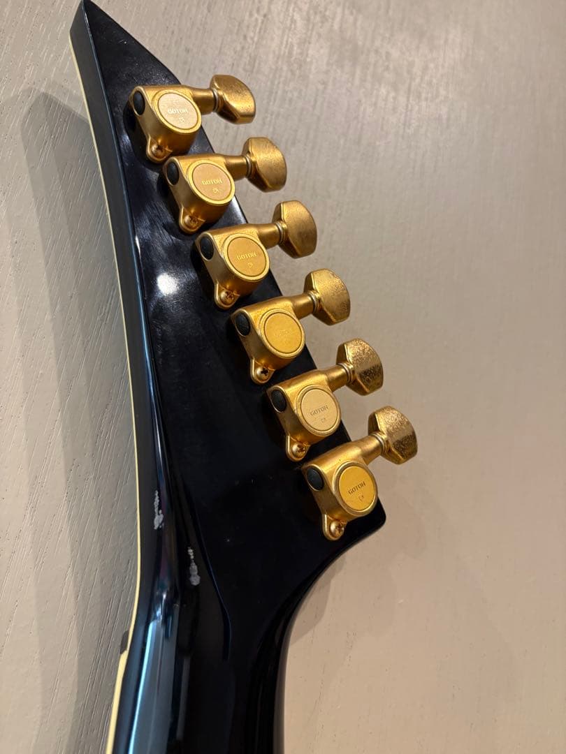 最終値下げです　FERNANDES TEJ-55G リミテッドエディション