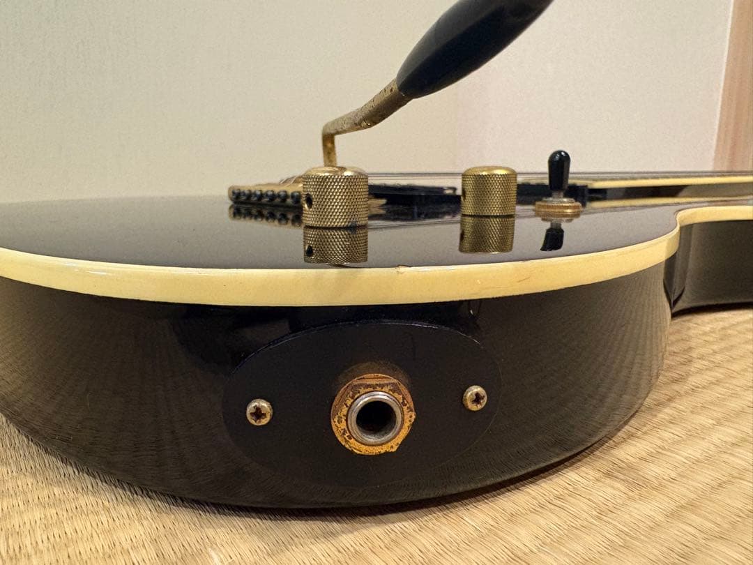 最終値下げです　FERNANDES TEJ-55G リミテッドエディション