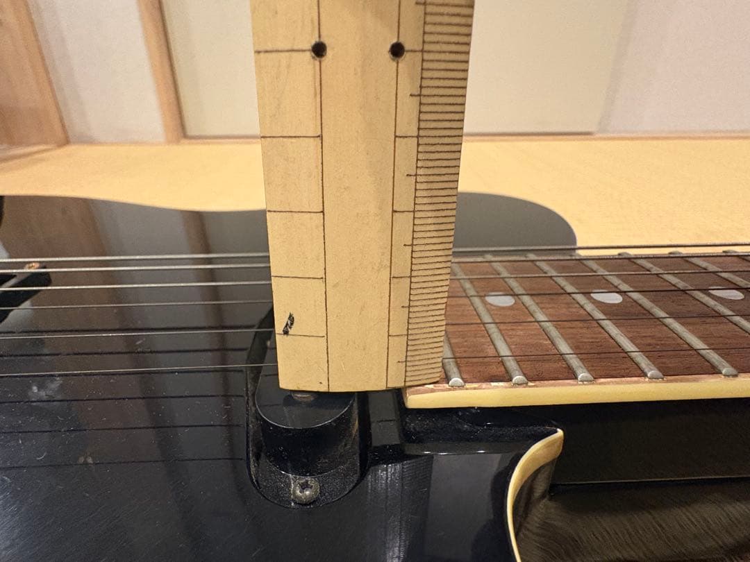 最終値下げです　FERNANDES TEJ-55G リミテッドエディション