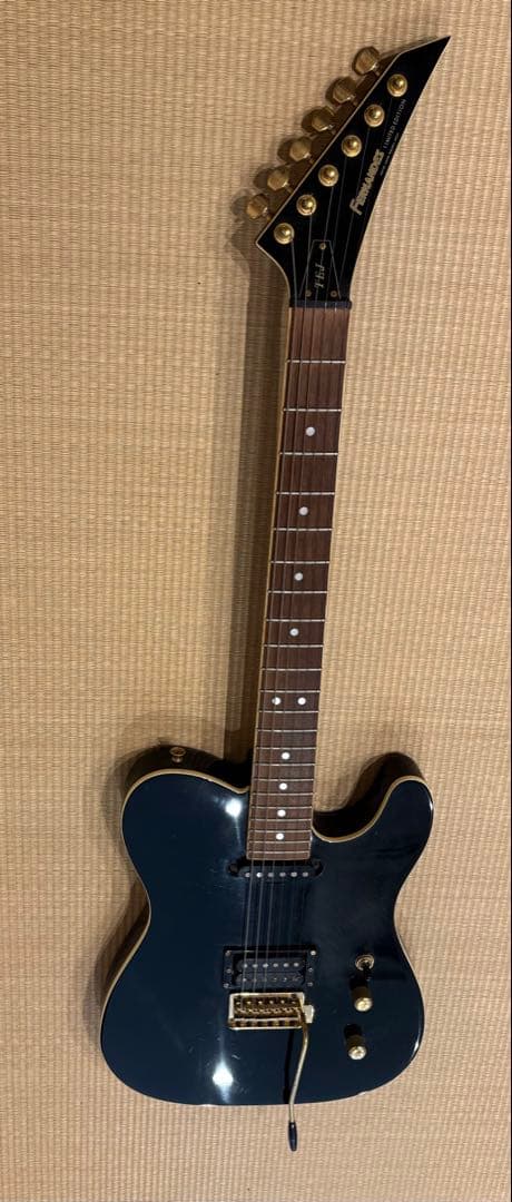 最終値下げです　FERNANDES TEJ-55G リミテッドエディション