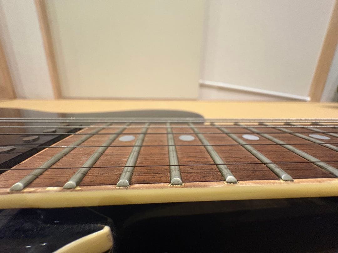 最終値下げです　FERNANDES TEJ-55G リミテッドエディション