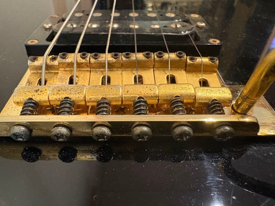 最終値下げです　FERNANDES TEJ-55G リミテッドエディション