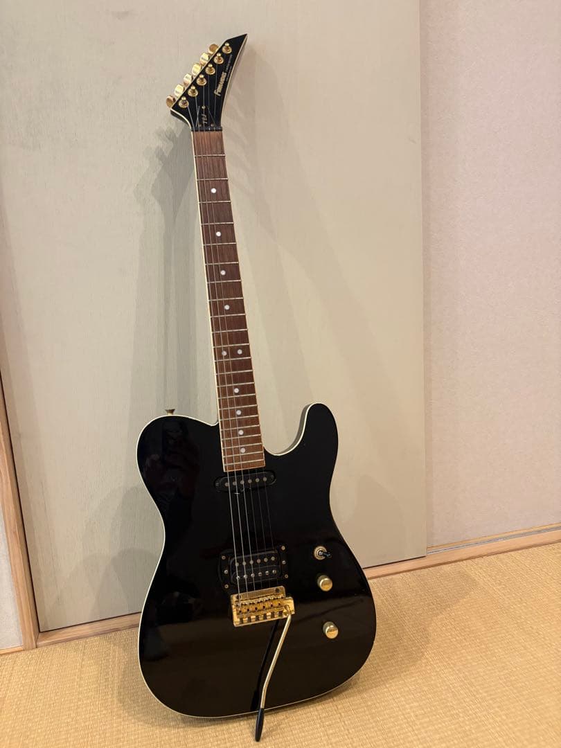 最終値下げです　FERNANDES TEJ-55G リミテッドエディション