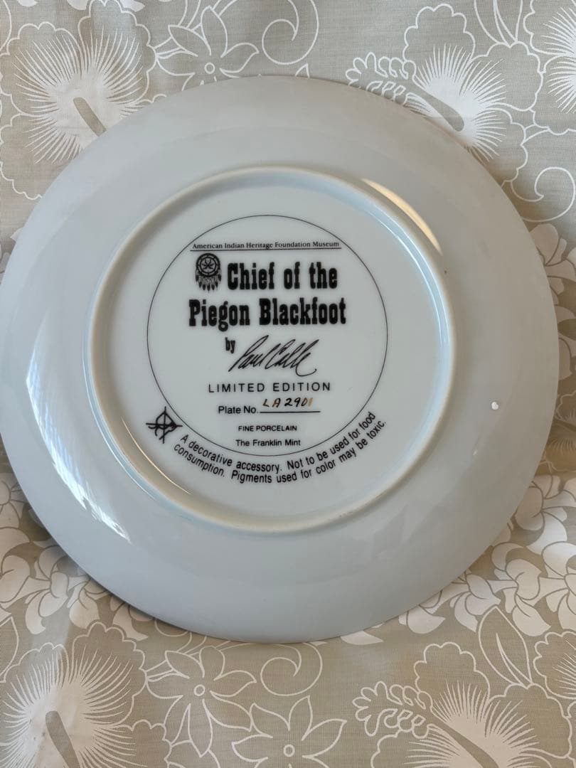 フランクリンミントGreat Spirit, Guide My Hand 限定版