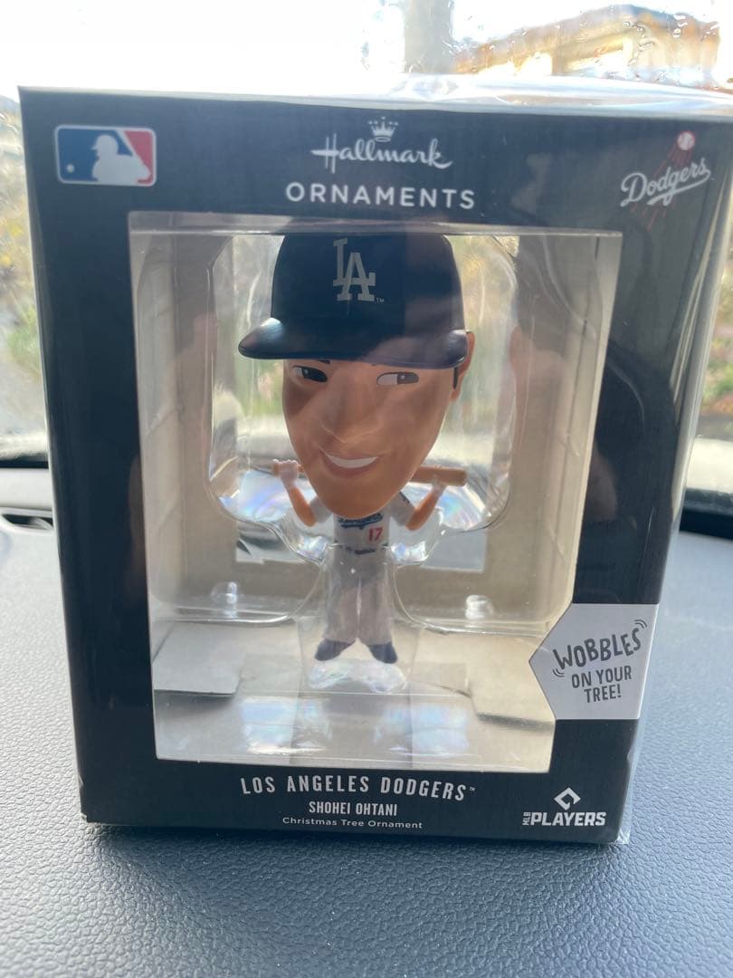 大谷恭平ボベルヘット