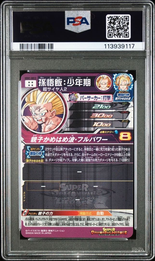 ugm1-sec3 ugm1-sec3p psa10 2連番