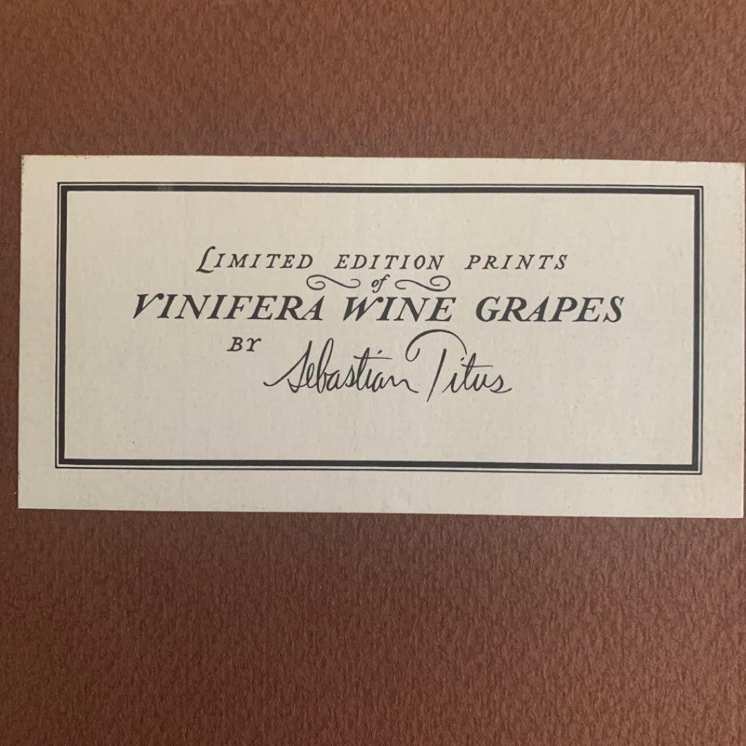 セバスチャン タイタス Sebastian Titus 葡萄リトグラフ　希少品