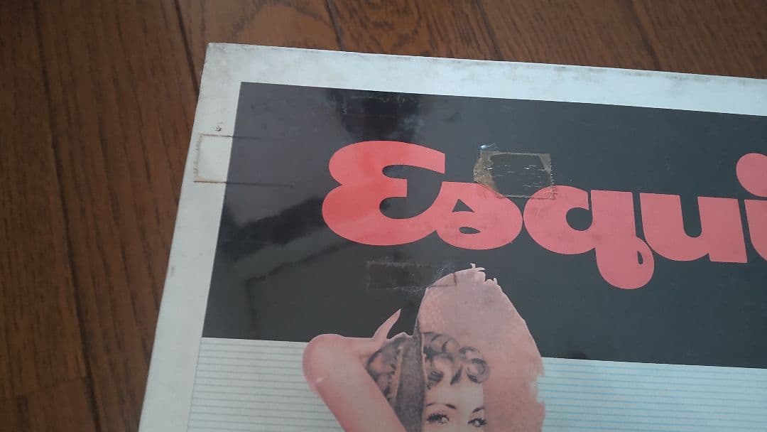 e petty パズル　1000ピース　　ウェイトレス　フィッシング