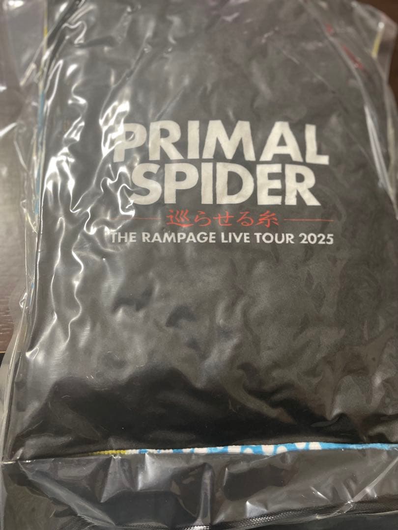 RAMPAGE 巡らせる糸　長谷川慎クッション