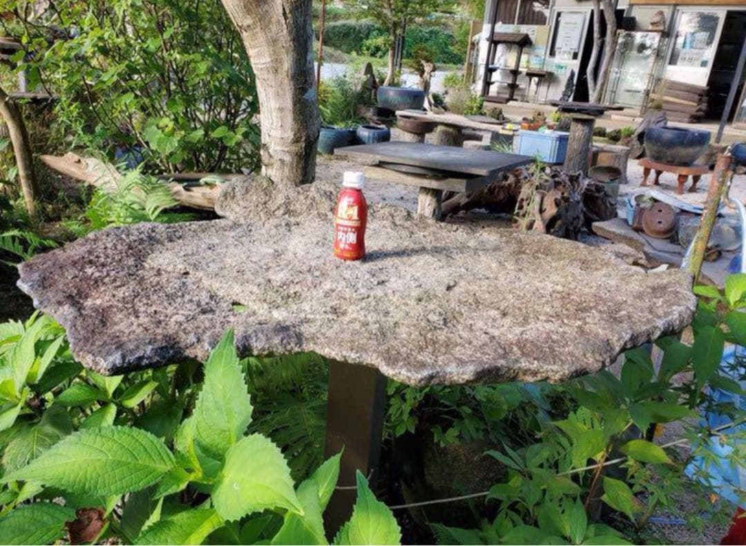 （み148）自然石、平石　盆栽鉢　料理の盛り付け