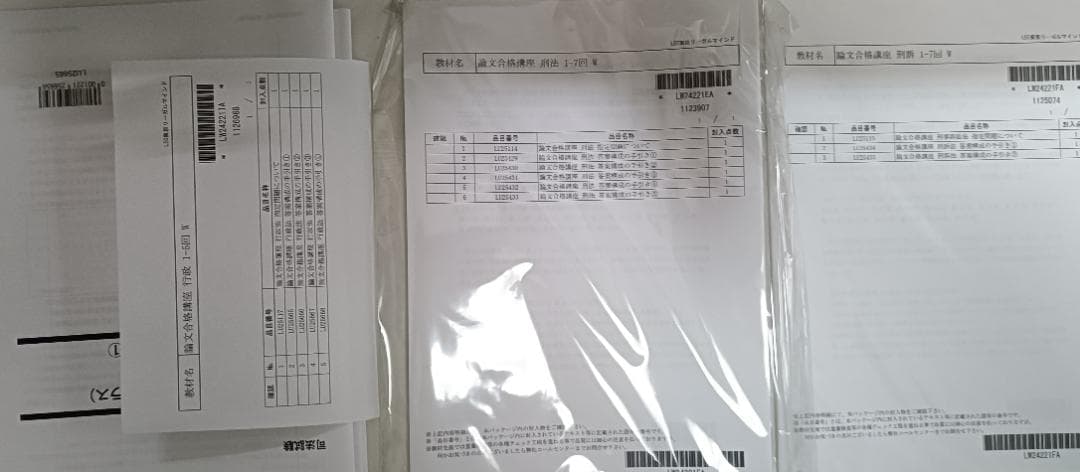 2024　LEC　論文合格講座　テキスト