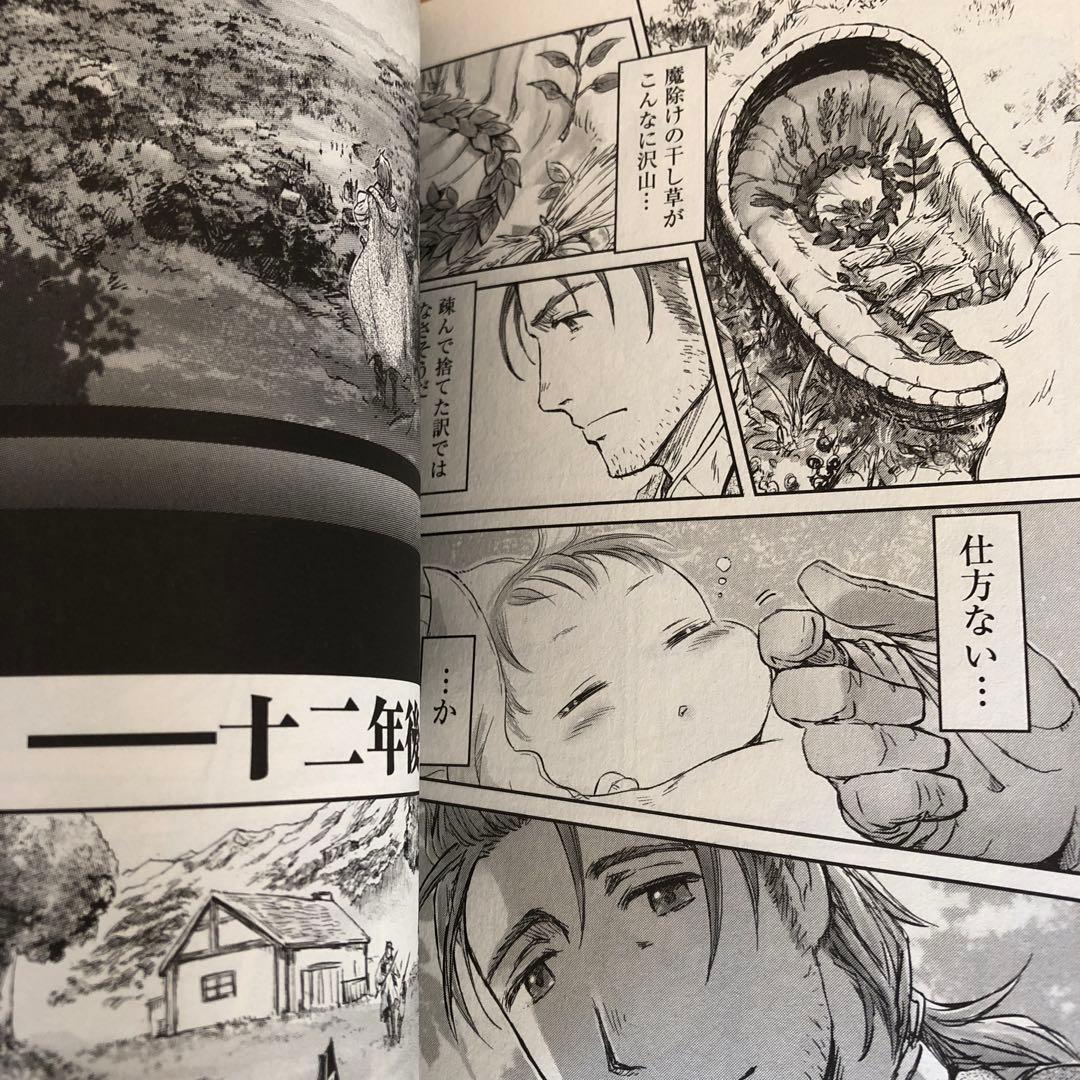 冒険者になりたいと都に出て行った娘がSランクになってた 黒髪の戦乙女 　1～9巻