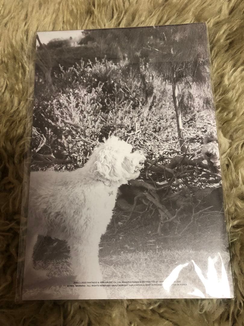 MAGAZINE ASTRO タンコン ムンビン サナ