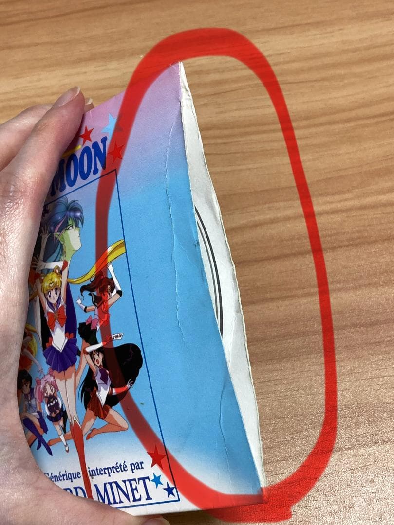 アニメ Sailor Moon Bernard Minet