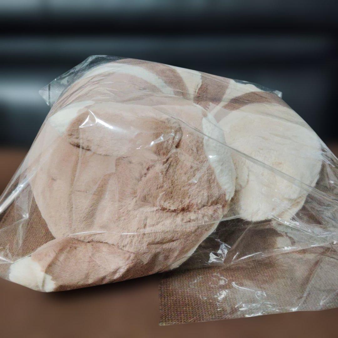 ポケモン★♥オオタチ♥★もりのおくりもの★ふわふわ　ぬいぐるみ　クッション