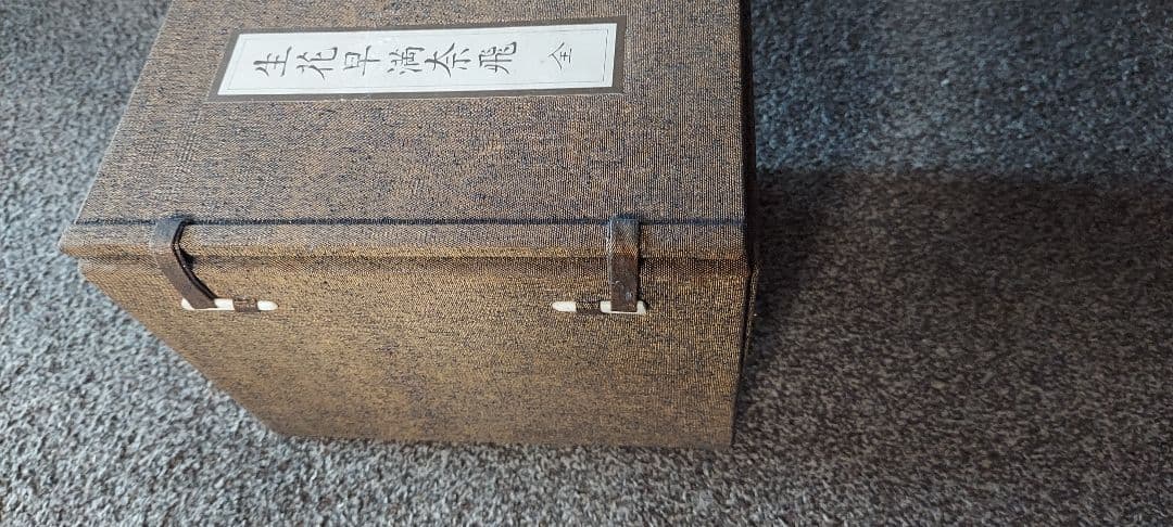 生花早満太飛 全10巻セット