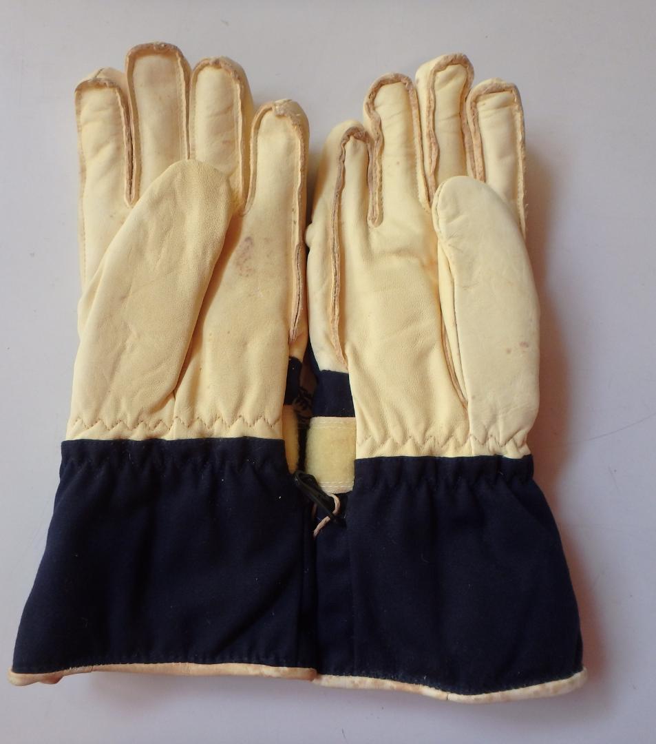 HESTRA（ヘストラ）スキーグローブ　ECOCUIR（エコクイ）short