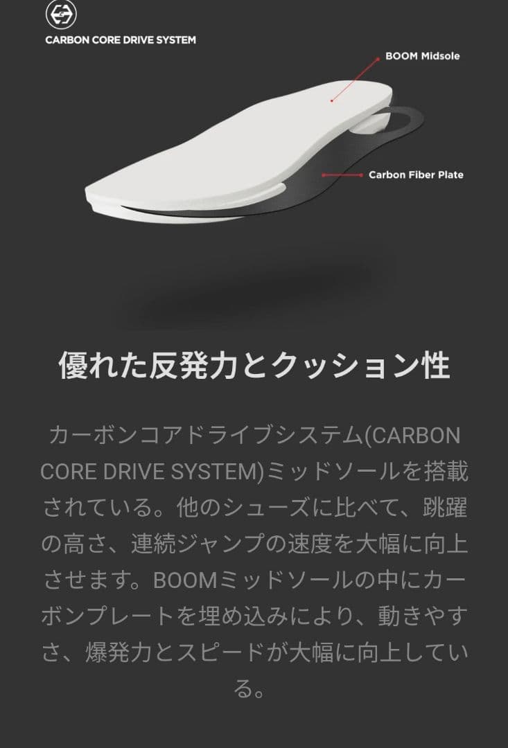 Way of Wade 11 US9 27.0cm美中古「日なたの州」