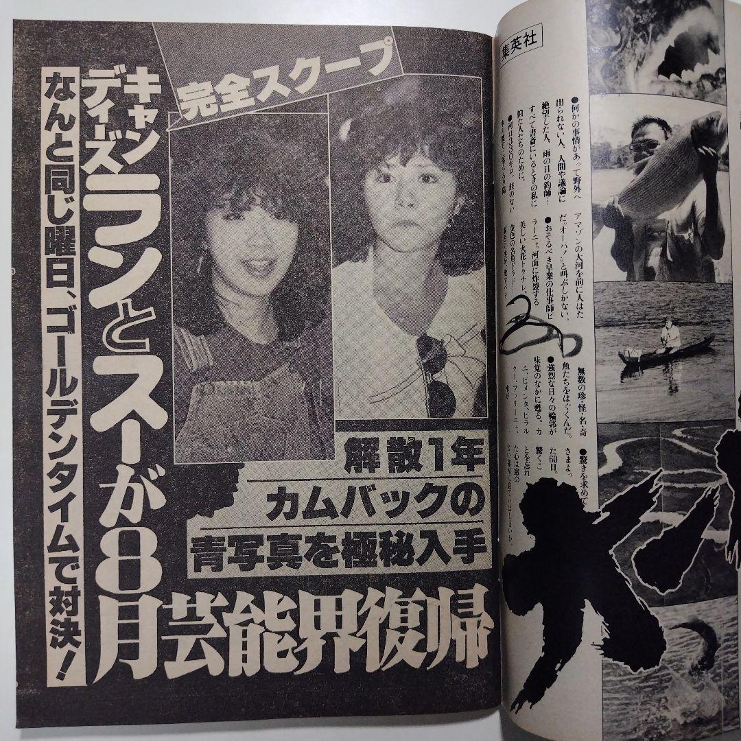 週刊明星 昭和54年（1979年）4月1日発行 通巻第1067号
