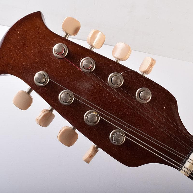 Rio　スズキ　マンドリン　鼈甲製ピック・ハードケース付　V　R7789C