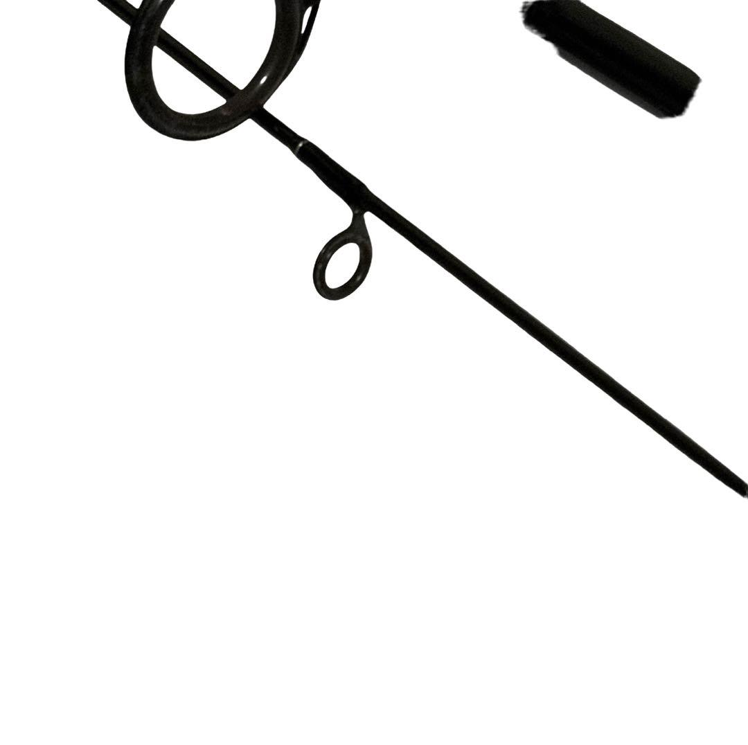 Daiwa ダイワ パシフィックファントム　902lfsLFS シーバスロッド