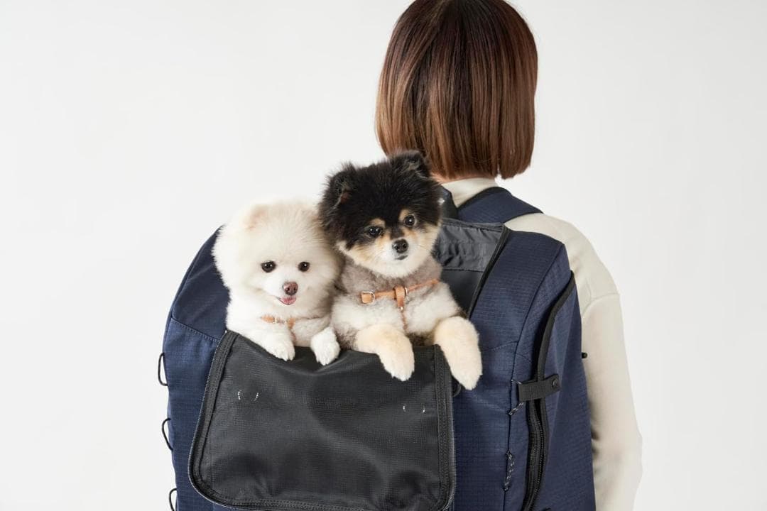 ち*ま様 エアバギー3WAY バックパック ワイドサイズ クールグレー リュック