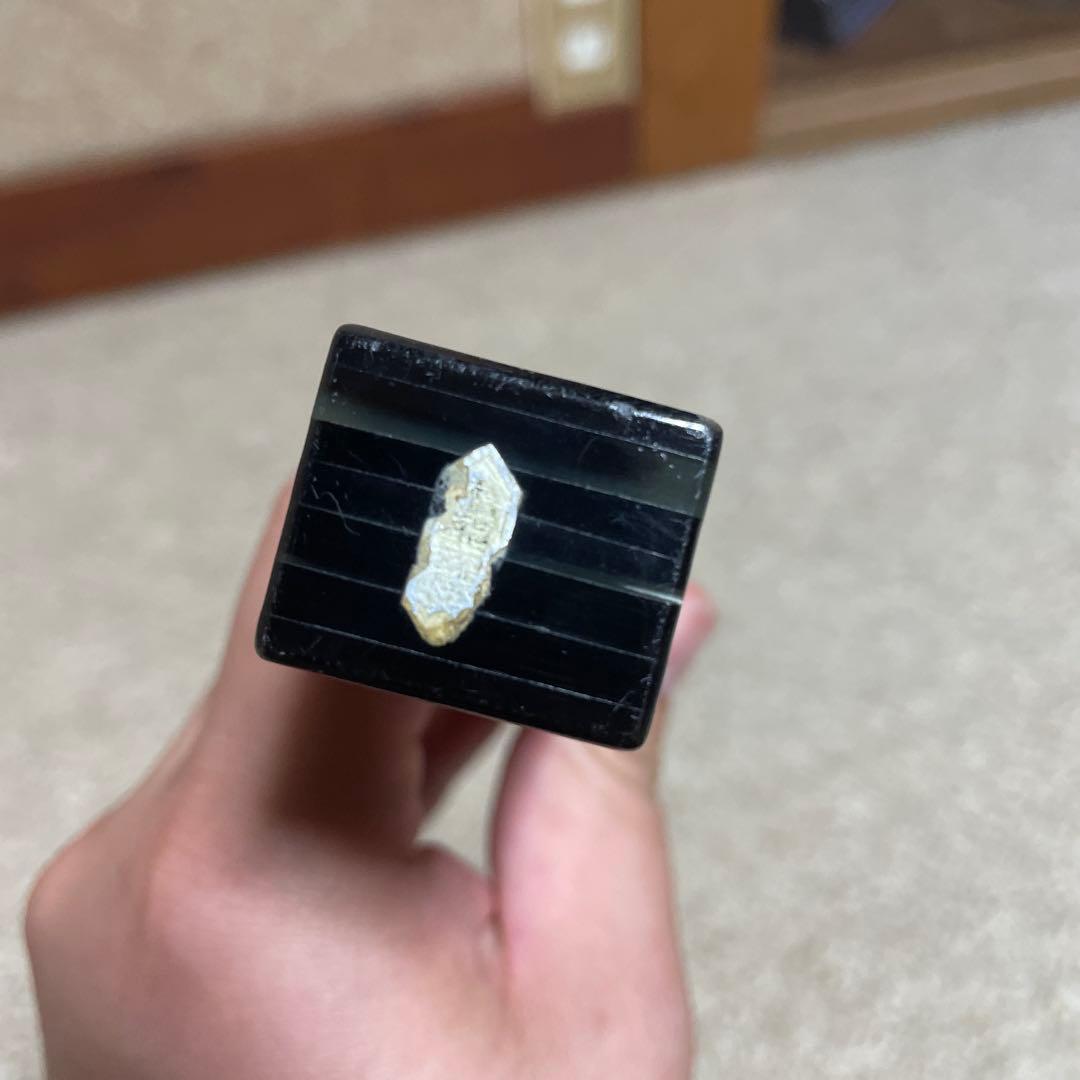 浅*子様 黒水牛鼈甲バチ　津軽三味線