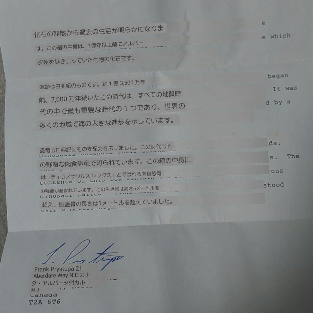 【未使用】カナダ　アルバータ州　恐竜　骨　化石　ティラノサウルス