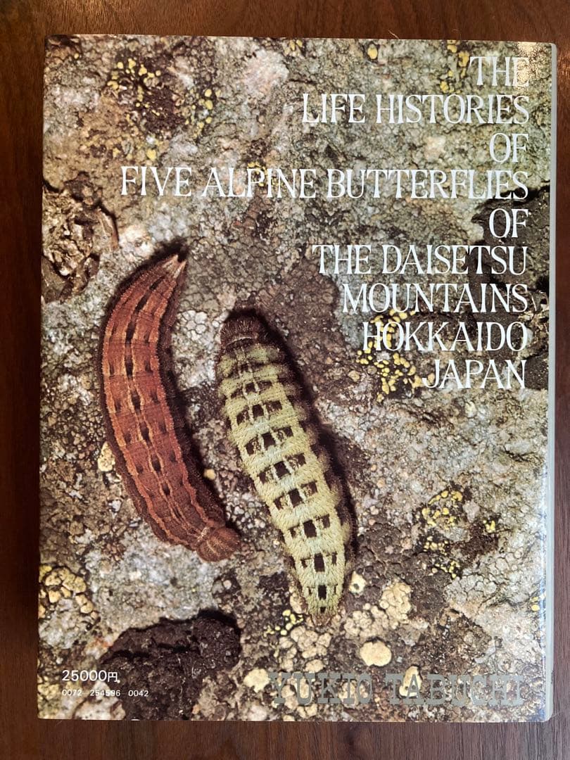 田淵行男 写真集 大雪の蝶 希少 希少本　レア