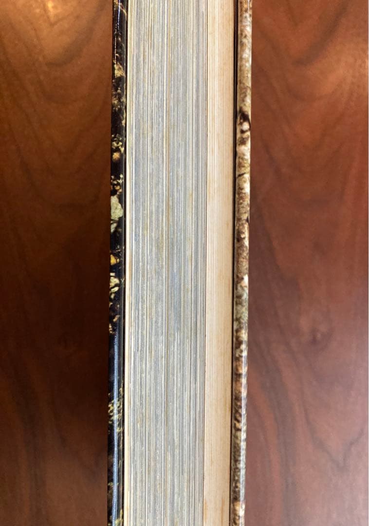 田淵行男 写真集 大雪の蝶 希少 希少本　レア